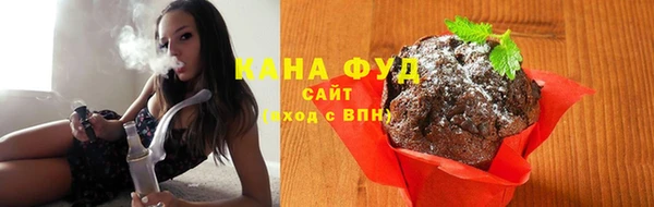 индика Карпинск